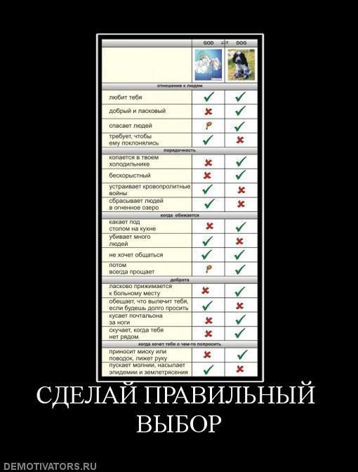Демотиваторы