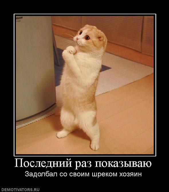 Демотиваторы