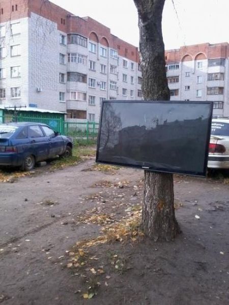Прикольные картинки