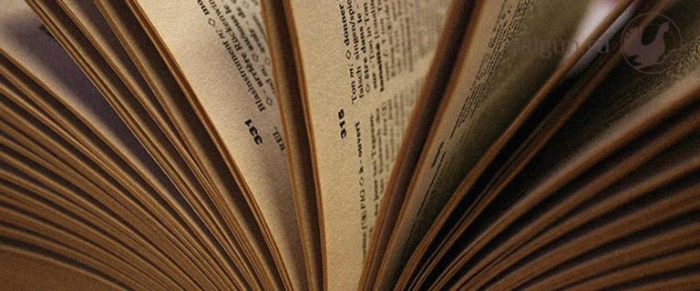 Любопытные загадки для всей семьи Любопытные загадки для всей семьи