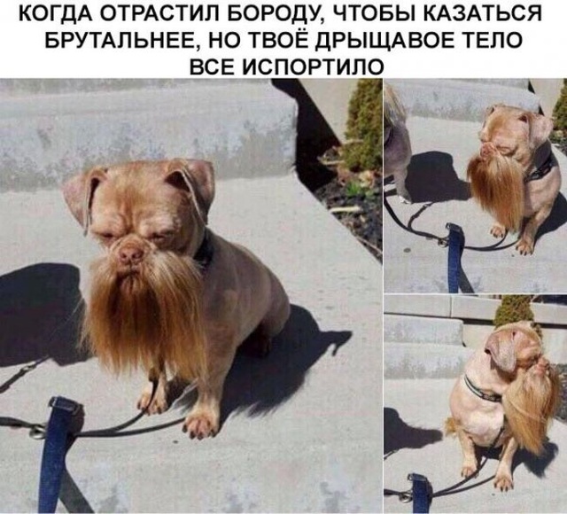 Юмор без смысловой нагрузки