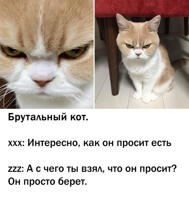 Юмор без смысловой нагрузки