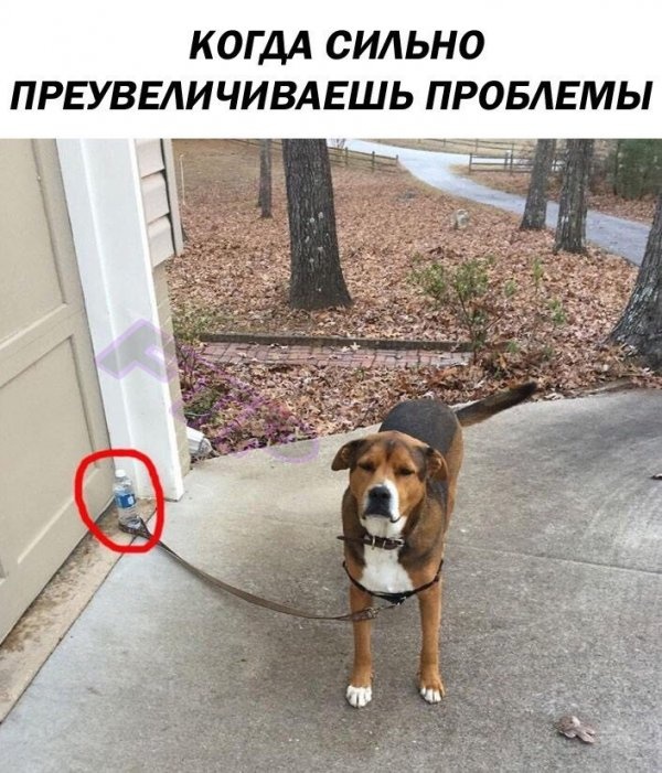 Юмор без смысловой нагрузки