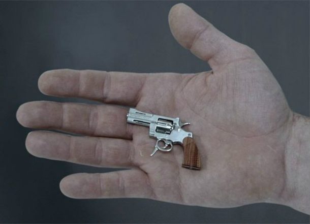 Микромир: самые маленькие вещи и живые существа Микромир: самые маленькие вещи и живые существа