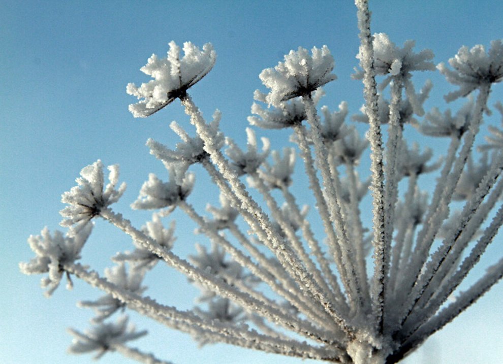 Красота природы в 2012 году