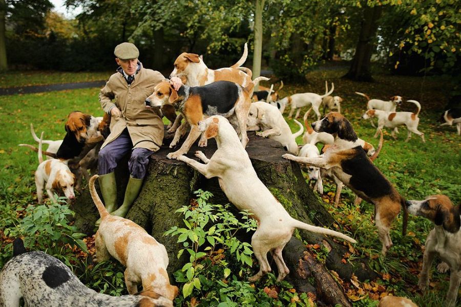 Лучшие фотографии 2013 года по версии агентства Getty Images Лучшие фотографии 2013 года по версии агентства Getty Images