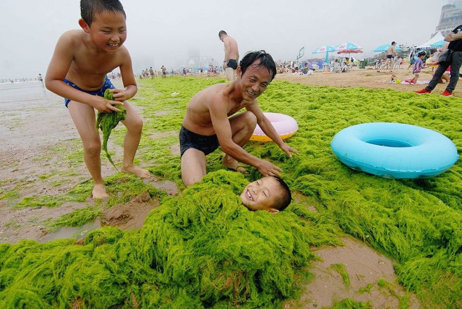 Лучшие фотографии 2013 года по версии агентства Getty Images Лучшие фотографии 2013 года по версии агентства Getty Images
