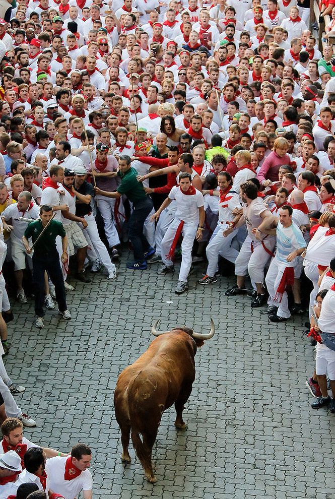 Лучшие фотографии 2013 года по версии агентства Getty Images Лучшие фотографии 2013 года по версии агентства Getty Images