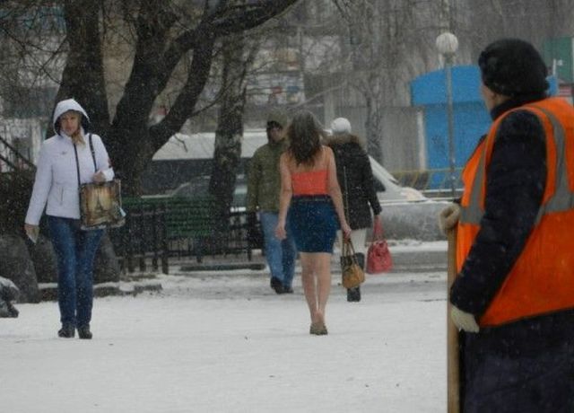 Прикольные картинки