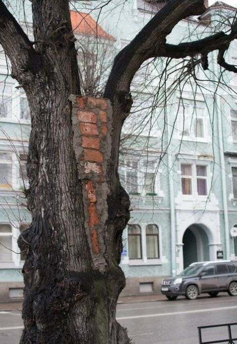Привет из России