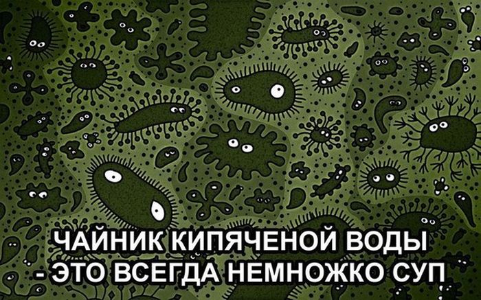 Прикольные картинки (82 фото)