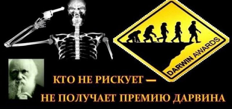 Незабываемые лауреаты премии Дарвина Незабываемые лауреаты премии Дарвина