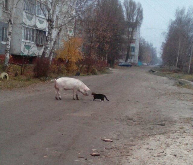 Фотографии с просторов нашей бескрайней