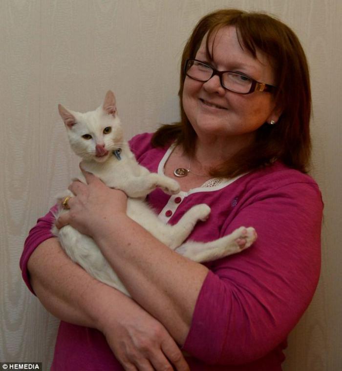 Котик-инвалид который ходит на локтях Котик-инвалид который ходит на локтях