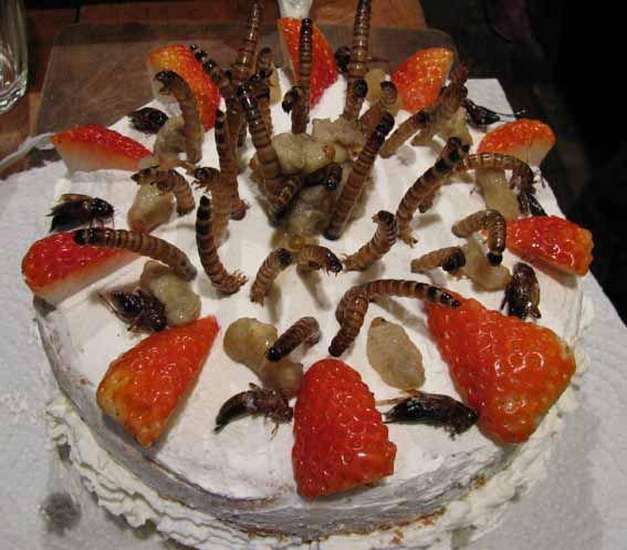 Оригинальные блюда японской кухни