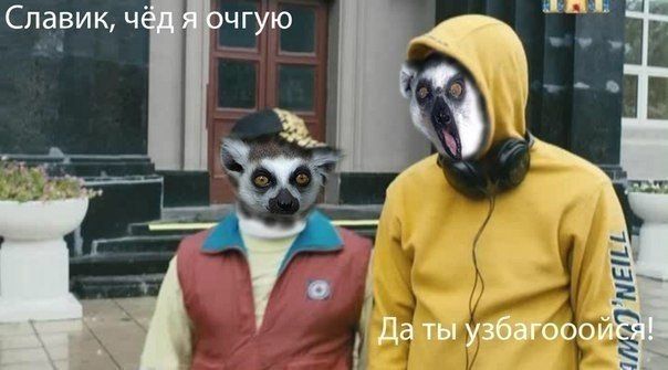 Прикольные картинки (79 фото)