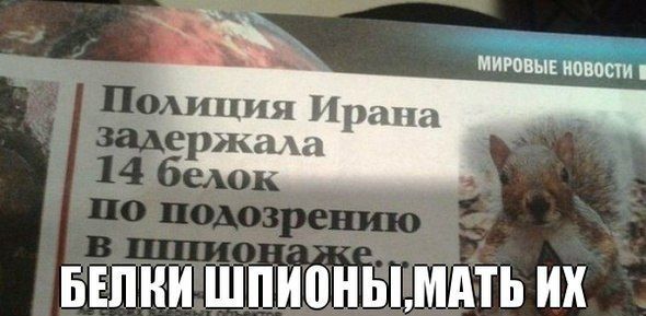 Прикольные картинки (79 фото)