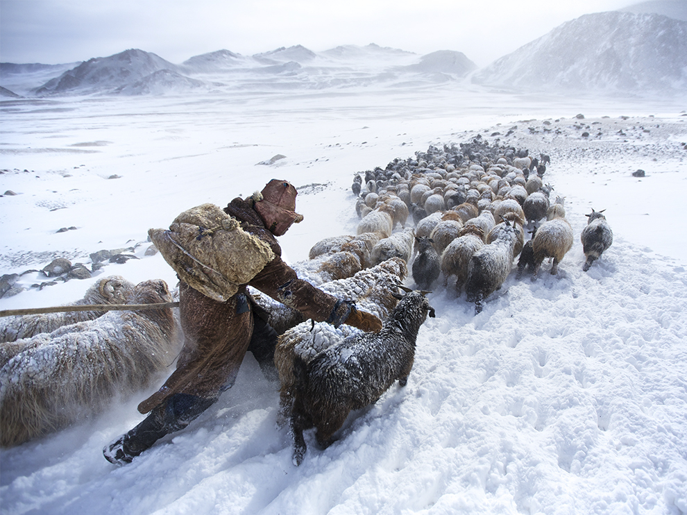 National Geographic: лучшие фотографии марта National Geographic: лучшие фотографии марта