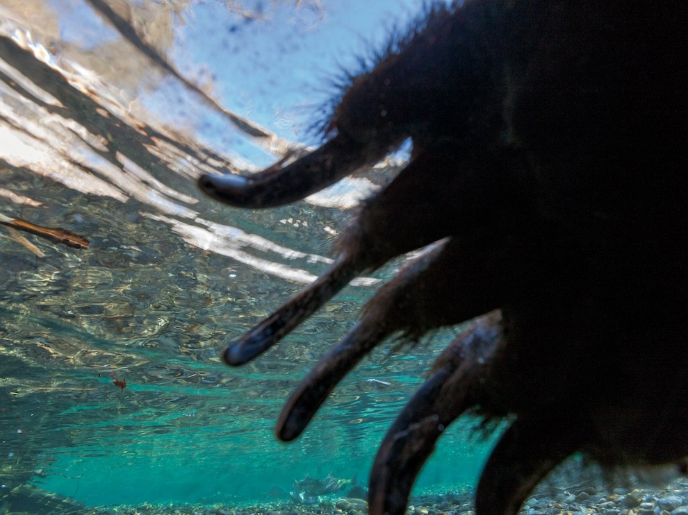 National Geographic: лучшие фотографии марта National Geographic: лучшие фотографии марта
