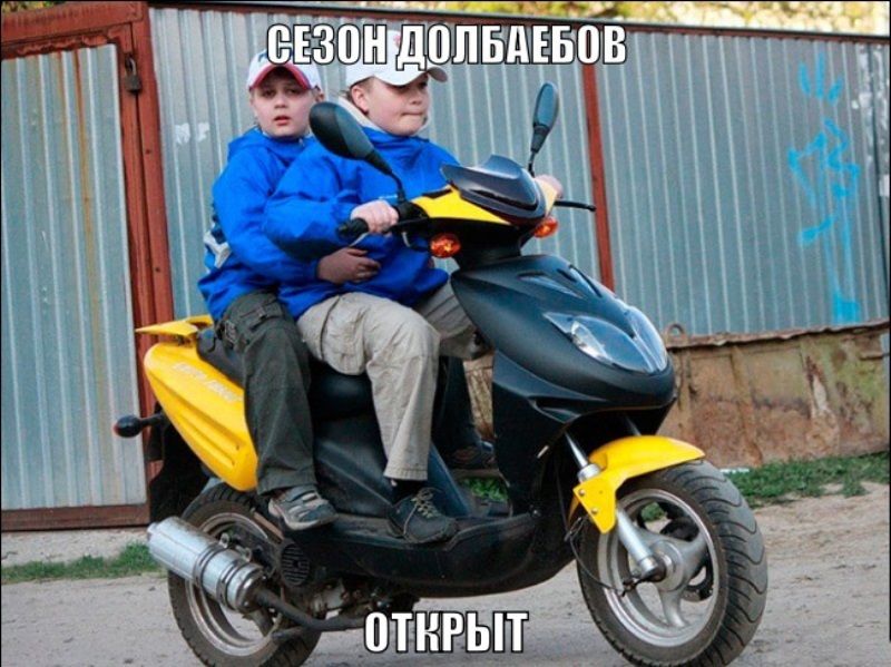 Прикольные картинки (71 фото)