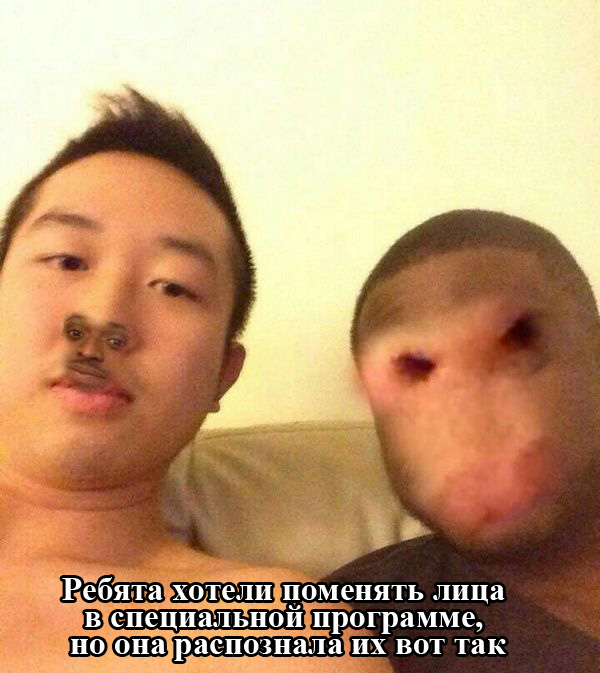 Порция картинок
