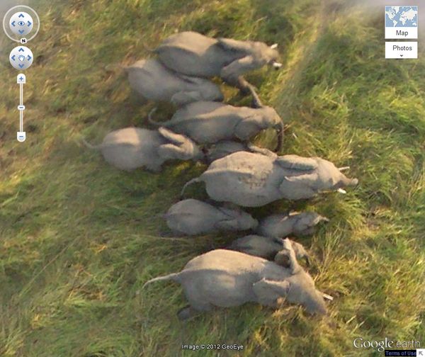 10 удивительных снимков, сделанных при помощи Google Earth