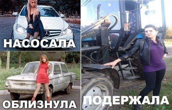 Прикольные картинки (101 фото)