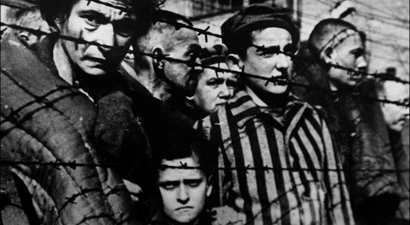 15 ужасающих фактов о Холокосте, о которых тебе не рассказывали в школе 15 ужасающих фактов о Холокосте, о которых тебе не рассказывали в школе