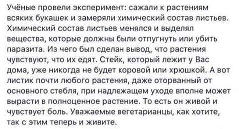Веганство как одна из форм психического расстройства