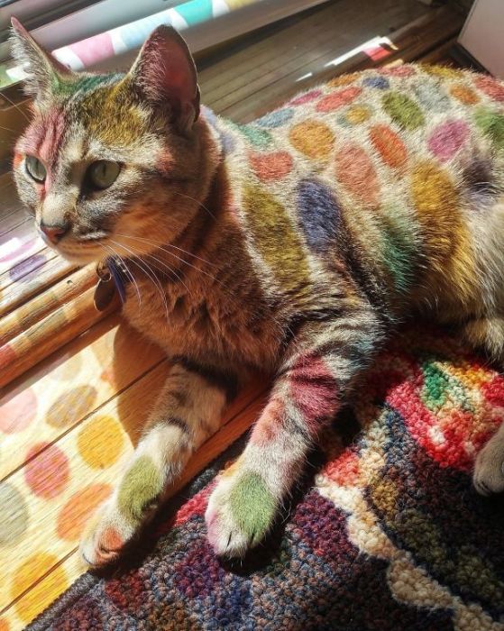 Нерукотворное искусство