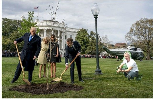 Сажающие дерево Трамп и Макрон стали героями фотожаб