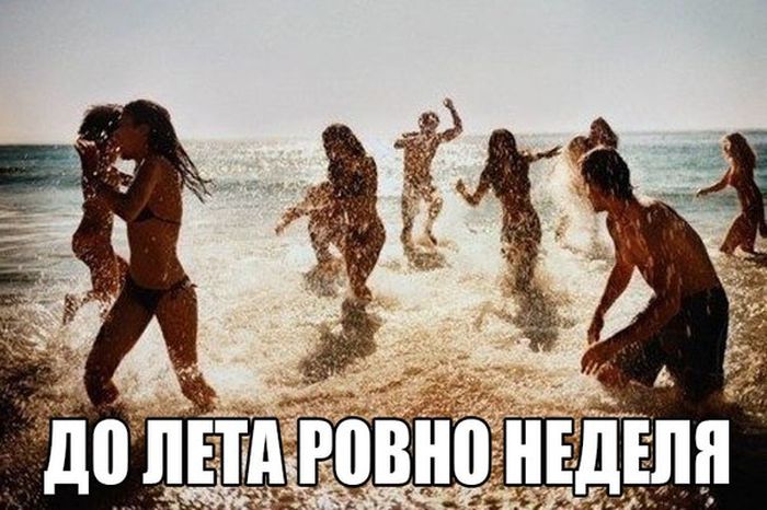 Порция картинок