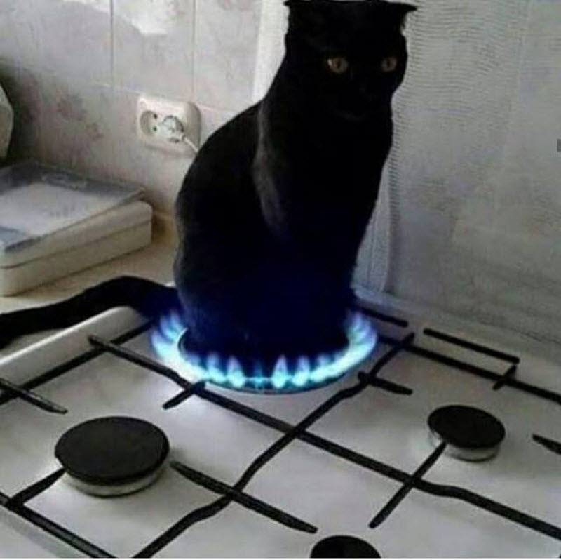 WTF: что тут происходит?