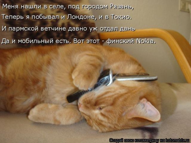 Лучшие котоматрицы недели