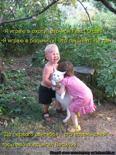 Лучшие котоматрицы недели