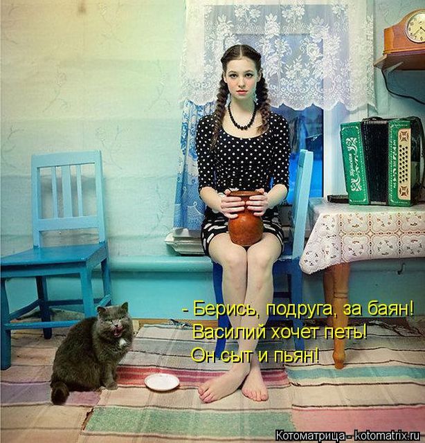 Лучшие котоматрицы недели