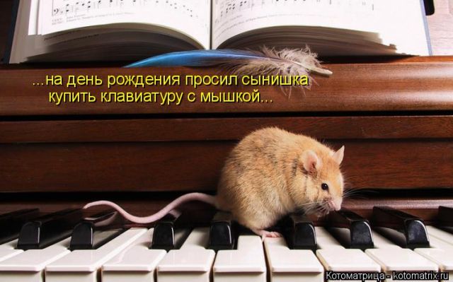 Лучшие котоматрицы недели