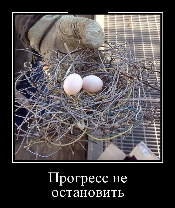 Демотиваторы