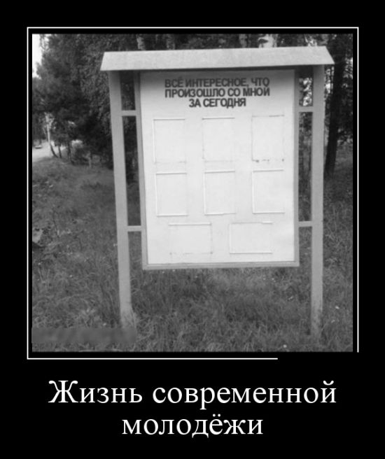 Демотиваторы