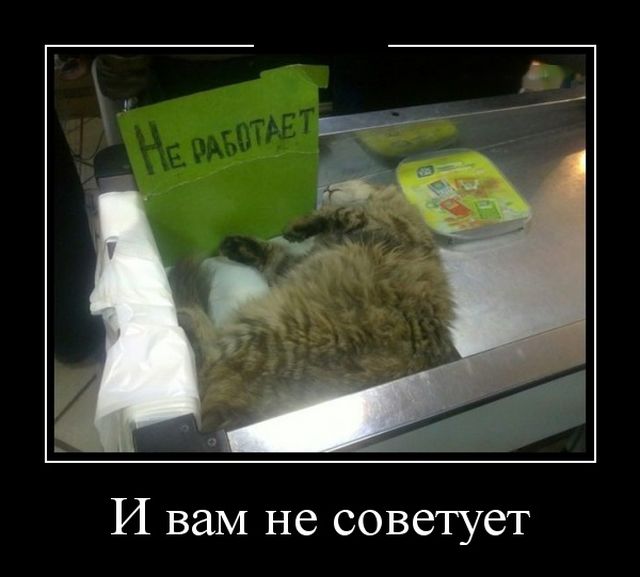 Демотиваторы