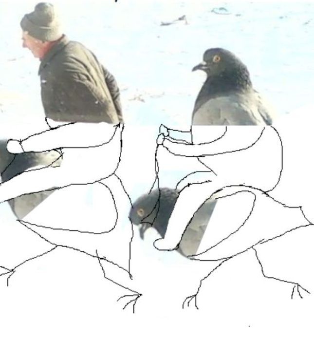 Мужик и голубь