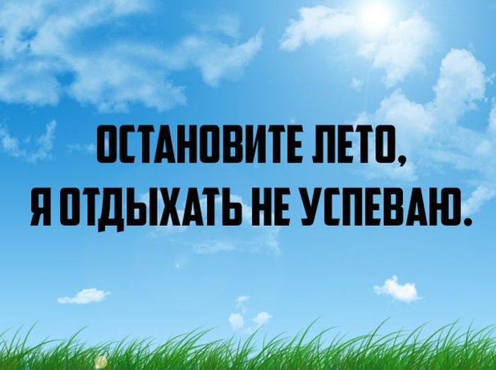 Порция картинок