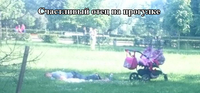 Порция картинок