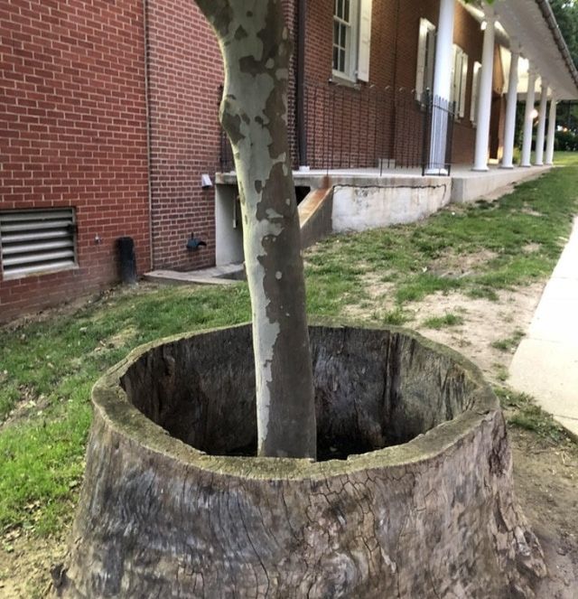 Удивительные вещи Удивительные вещи
