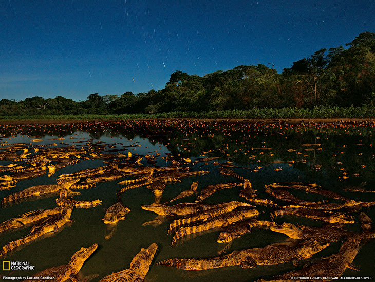 National Geographic: лучшие фотографии июля National Geographic: лучшие фотографии июля