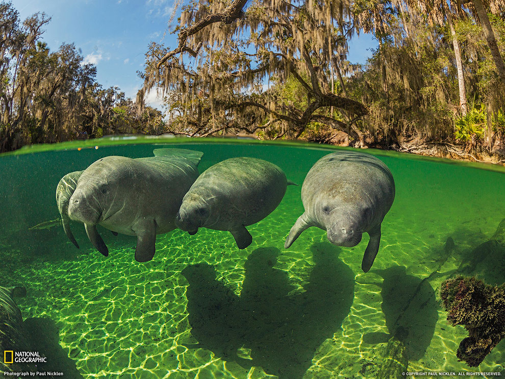 National Geographic: лучшие фотографии июля National Geographic: лучшие фотографии июля