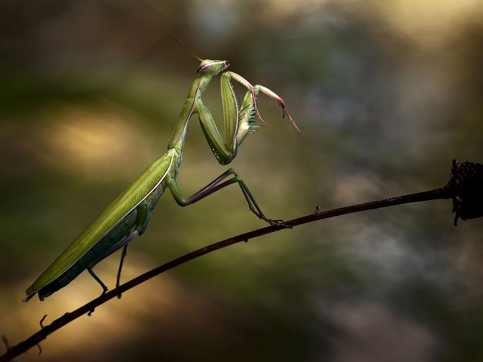 National Geographic: лучшие фотографии июля National Geographic: лучшие фотографии июля