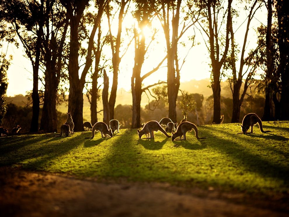 National Geographic: лучшие фотографии июля National Geographic: лучшие фотографии июля