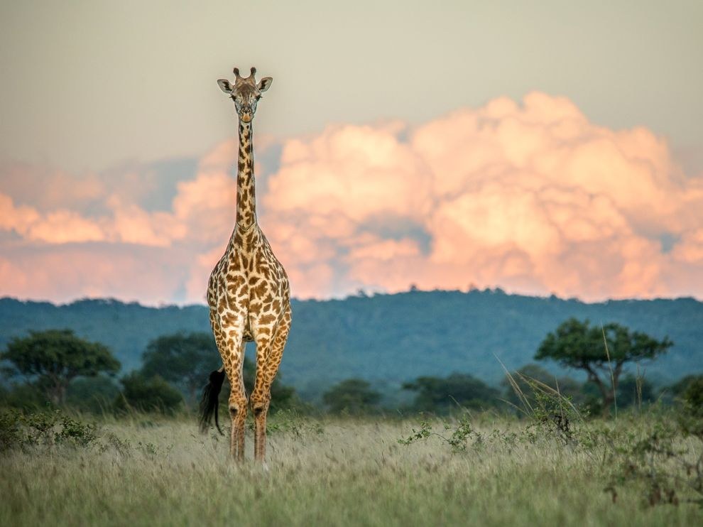 National Geographic: лучшие фотографии июля National Geographic: лучшие фотографии июля