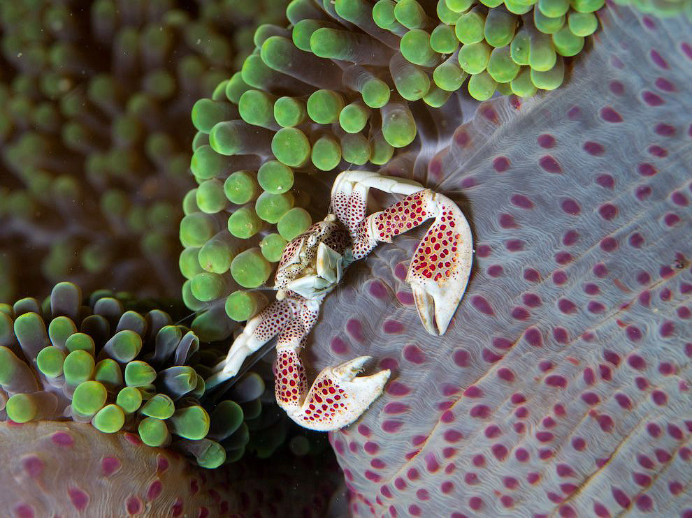 National Geographic: лучшие фотографии июля National Geographic: лучшие фотографии июля